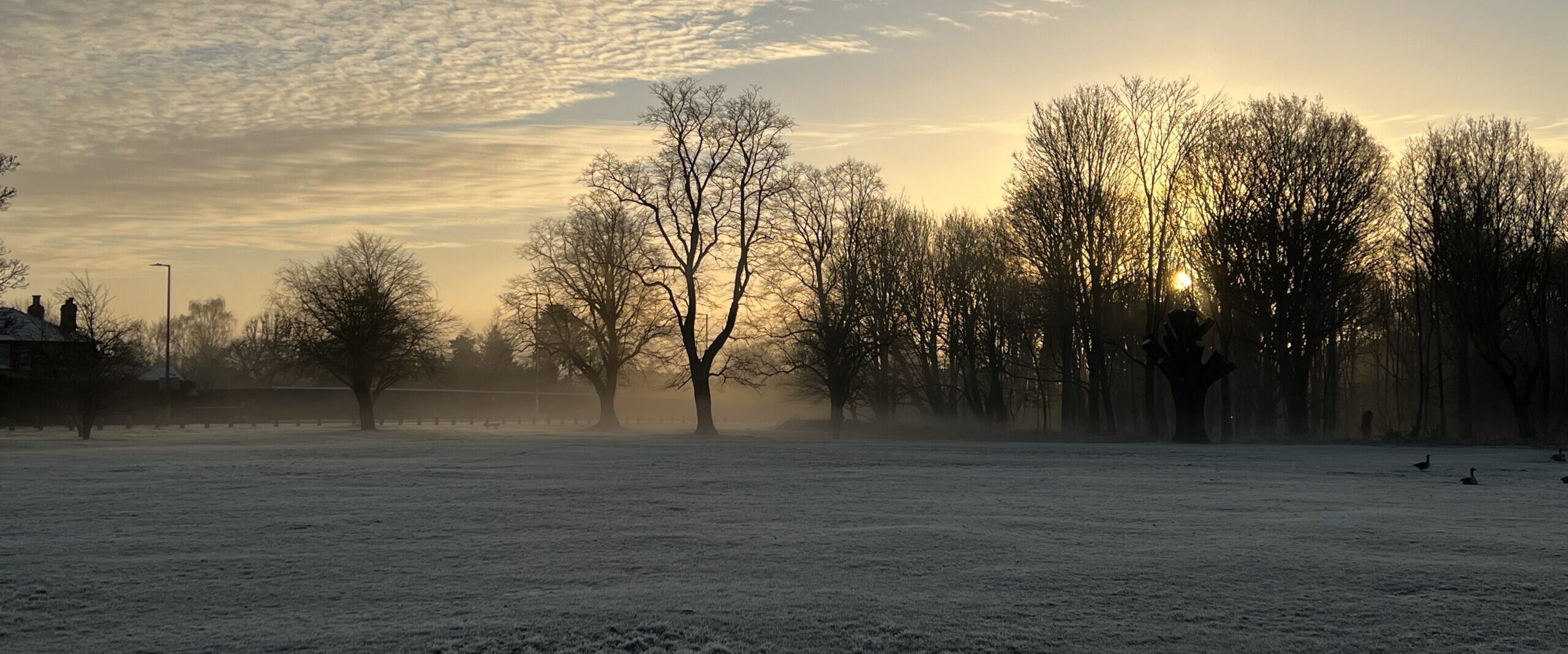 Brentwood Common Skies